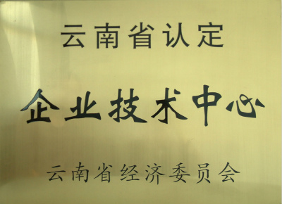 2004年，云南省认定企业技术中心.jpg