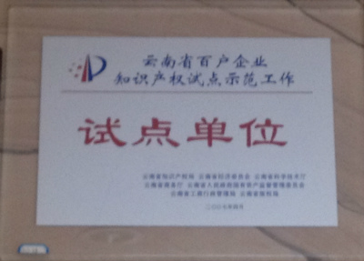 2007年，云南省百户企业只是产权试点示范单位试点单位.jpg