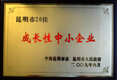 2009年，昆明市20佳成长性中小企业.jpg