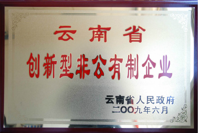 2009年，云南省创新型非公有制企业.jpg