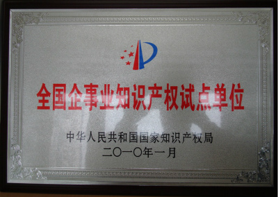 2010年，全国企事业知识产权试点单位.jpg