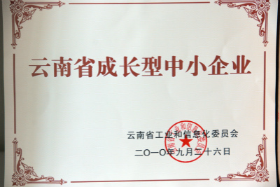2010年，云南省成长型中小企业.jpg