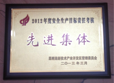 2013年，2012年度安全生产目标责任考核先进集体.jpg