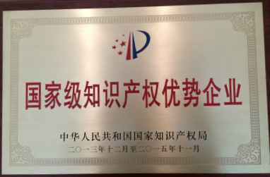 2013年，国家级知识产权优势企业.jpg