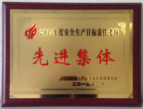 2014年度安全生产目标责任考核先进集体.jpg