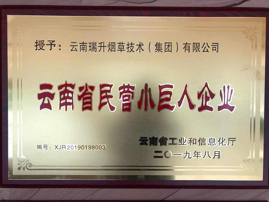 云南民营小巨人企业.png