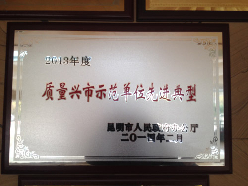 质量兴市示范单位先进典型.jpg